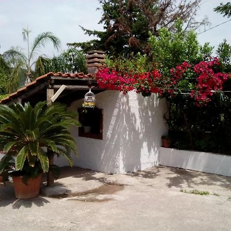 Maison Romantique Santa Maria di Castellabate Dış mekan fotoğraf